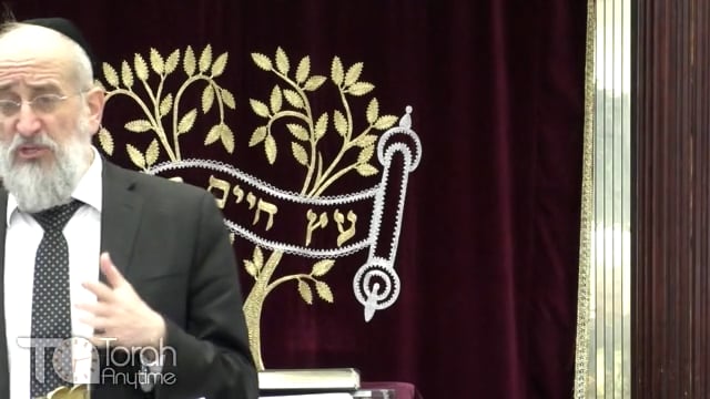 Late Night Mishmar With Rabbi Reisman # 70 - Ain Oisin Mitzvos Chavilois Chavilois