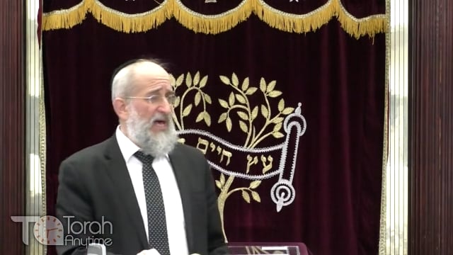 Late Night Mishmar With Rabbi Reisman # 73 - The Minchas Chinuch's Chakira on The Mitzva Of Shmita