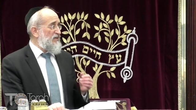 Late Night Mishmar With Rabbi Reisman # 74 - Zachin L'adam and Zachin Mei'adam