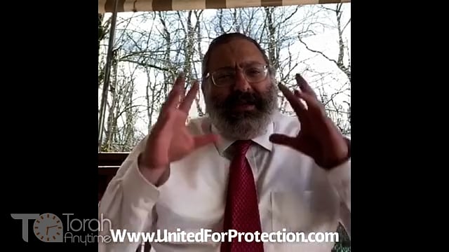 United for Protection 3