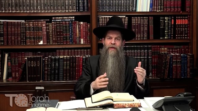 R' Binyomin Eisenberger | Torah’s Essence in the Jew’s Life