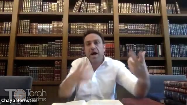 Daf Yomi: Shabbat Daf 113