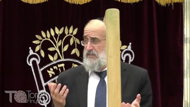 Late Night Mishmar With Rabbi Reisman # 79 - Can You Bring A Bed Into A Shul?