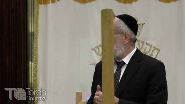 Late Night Mishmar With Rabbi Reisman # 82 - The 2 Aspects of the Succah and of Succos