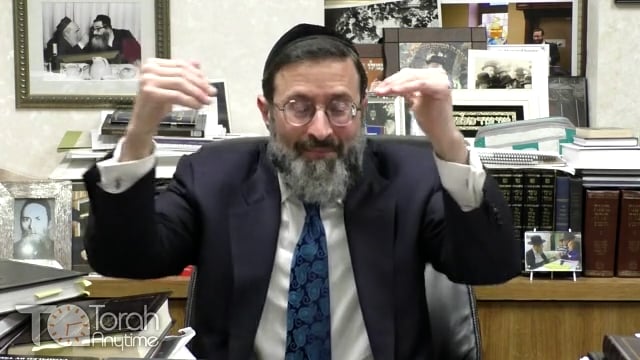 Noach & the Birds: Rising Above the Olam Hagashmi