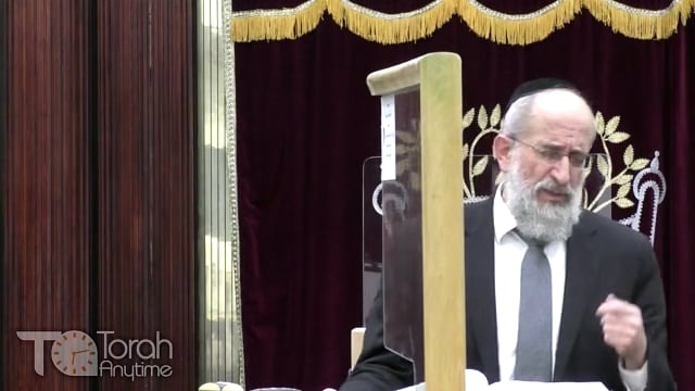 Late Night Mishmar With Rabbi Reisman # 86 - Tying Up The Korban Tamid