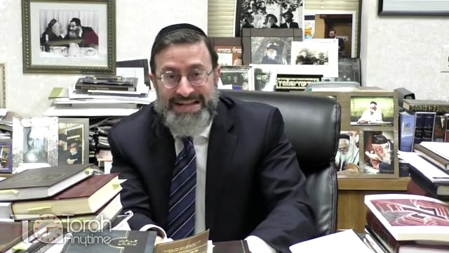 Yehuda & Chushim/Dan: Encountering the Koach of the Two Lions