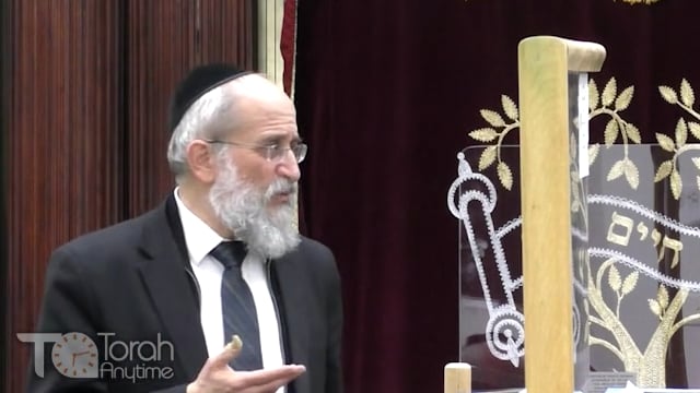 Late Night Mishmar With Rabbi Reisman - Laws Of Seudas Purim Erev Shabbos