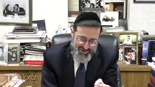 The "Wooden Essence" of the Aron HaEidus