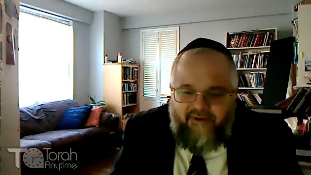 Glimpses of Greatness: Rav Dovid Feinstein from the eyes of Rav Zvi Romm