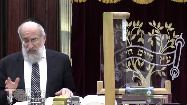 Late Night Mishmar With Rabbi Reisman: Havdala On Beer; Kiddush On Schnapps
