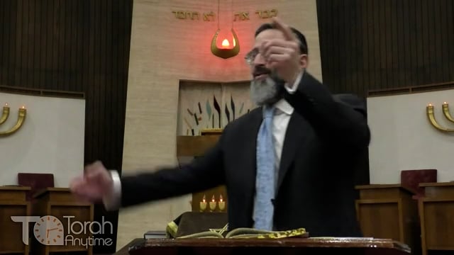 Tisha B'Av to Tu B'Av: The Journey from a "Moed" to the Greatest of "Yom Tov's"