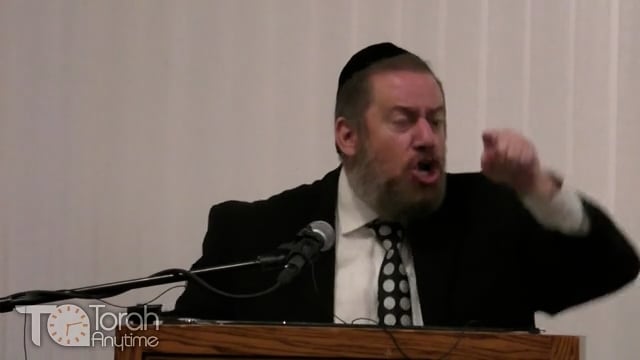 Discover the Kibbud Av V'Em You Never Knew