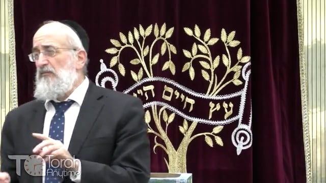 Late Night Mishmar With Rabbi Reisman - Rav Chaim's Chakira on The Sugya Of Par He'lam Davar