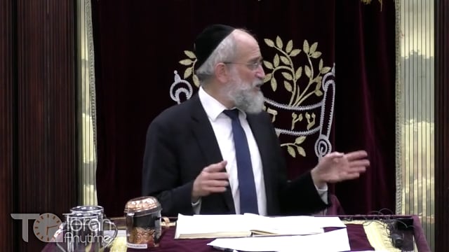 Late Night Mishmar With Rabbi Reisman - The Bais Halevi's Chiddush Regarding Oines