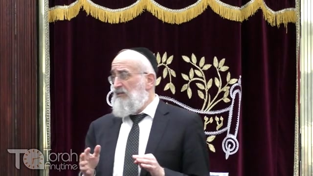 Late Night Mishmar With Rabbi Reisman - The Chewing Gum Shaila
