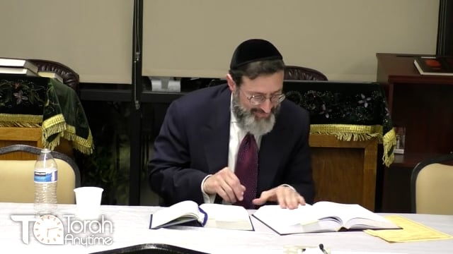 Pondering Perplexing Parsha Palindromes