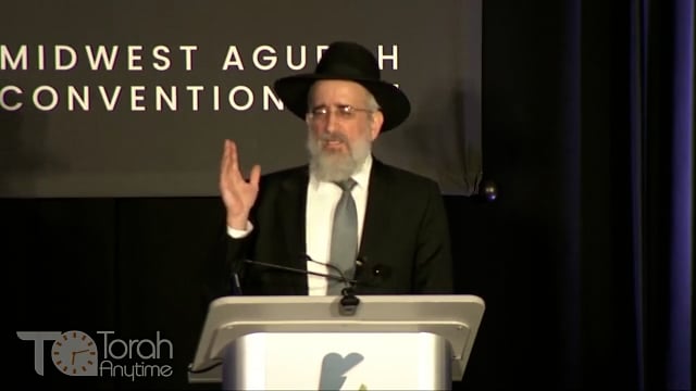 Agudah Convention Midwest: Pre Keynote Session - Life Lessons From the Last 2 Years