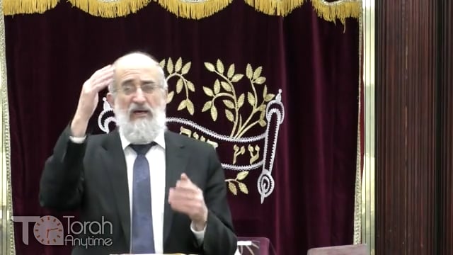 Late Night Mishmar With Rabbi Reisman: The Unique Korbanos Of Parim and Se'irim Hanisrafim