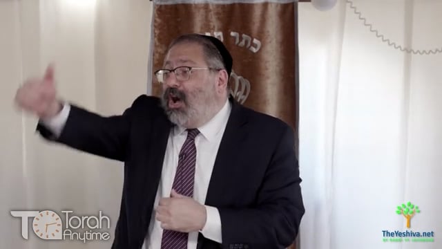 Can You See Your Life as a Unified Symphony? Coincidence Or Calling? Reb Tzvi Pesach Frank & the Slain Chevron Yeshiva Student
