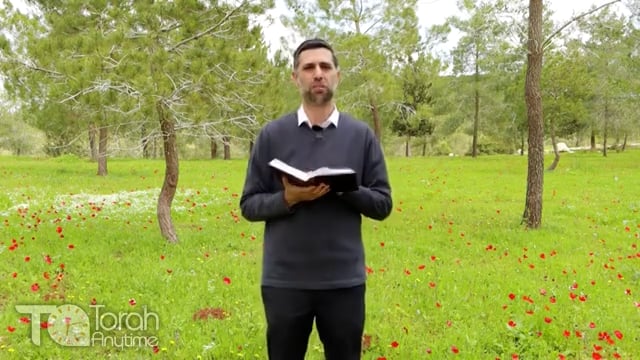 Bitachon 52: Birthpangs of Moshiach II