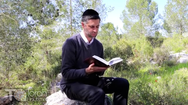 Bitachon 53: Trust Hashem in Every Moment