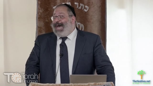 Kedoshim: Why Can’t I Take Revenge? Why Can’t I Bear a Grudge? How Do I Forgive?