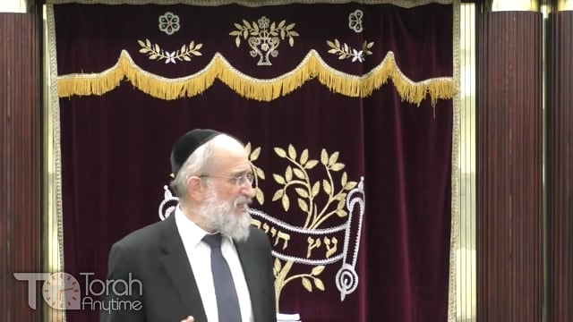 Late Night Mishmar With Rabbi Reisman - Halachos Of Tefilas Haderech