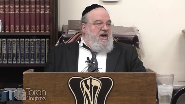 Parashat Chukat - Killling yourself for learning