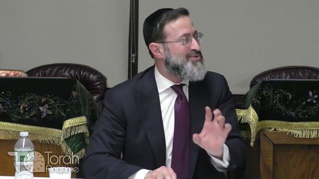 Kavod of Kings & Happy & Haughty Horses