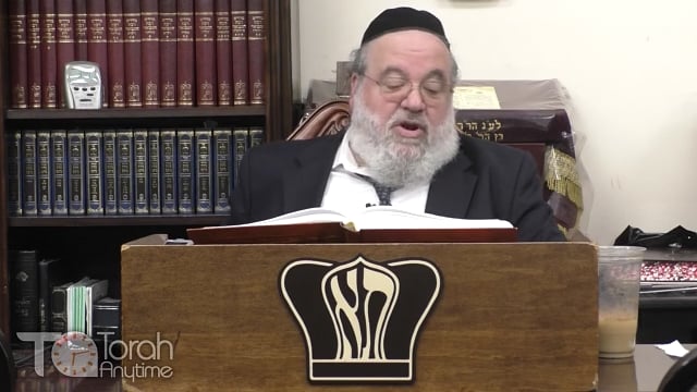 Parashat Ki Tetzei - Are you better then Rav Amram Chasida?