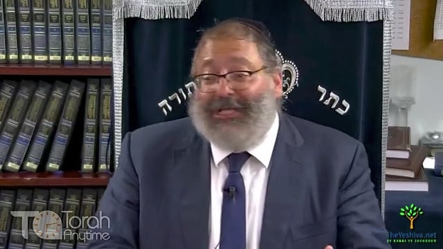 Ki Tetzei/Elul: How Can You Despair on a Life That Is Not Yours?