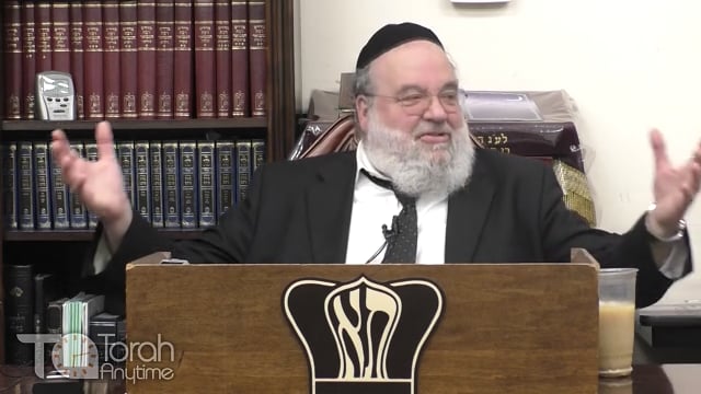 Parashat Nitzavim - Just don't throw rocks
