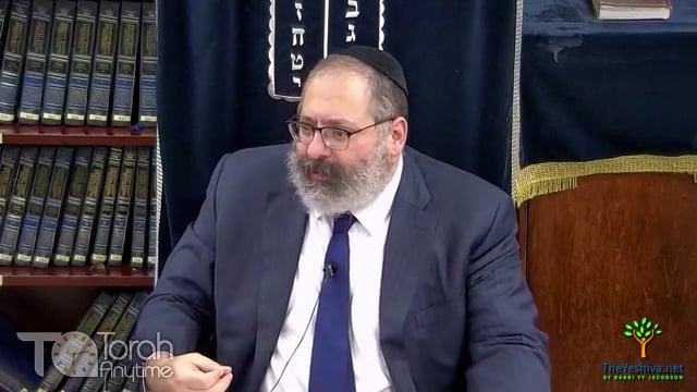 Torah Ohr Noach "Mayim Rabim" #2: The Purpose of Gehinom (Hell)