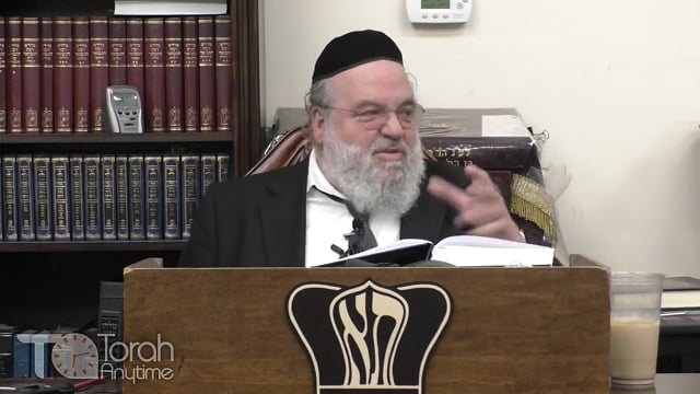 Parashat Lech Lecha - Walk with your head held high