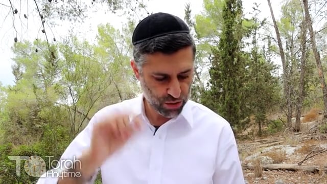 Bitachon 84: Trust Completely in Hashem