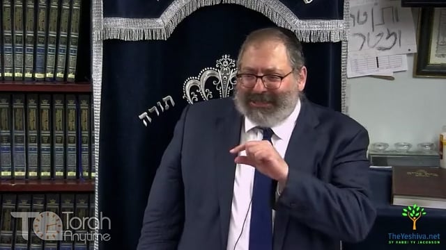 Parshat Vayishlach: Chamor & Yaakov: The Donkey and the Ox