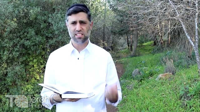 Bitachon 90: King David's Promise