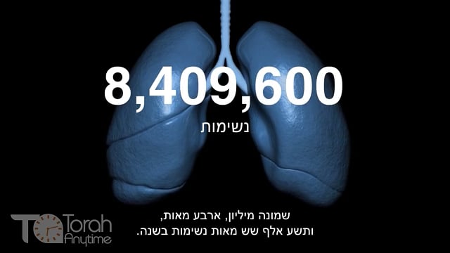 חנוכה יום ה׳: הזקן נשם לרווחה ופרץ בבכי
