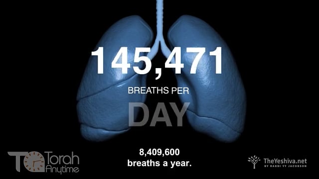 Chanukah Day #5: The Price of Oxygen