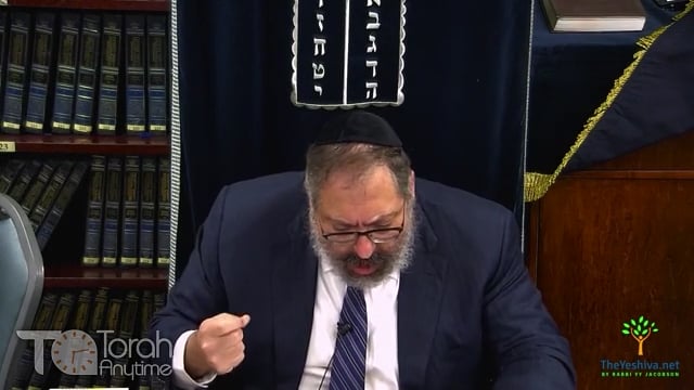 Maamer Ner Chanukah 5643 #7: Between Aristotle and the Rambam