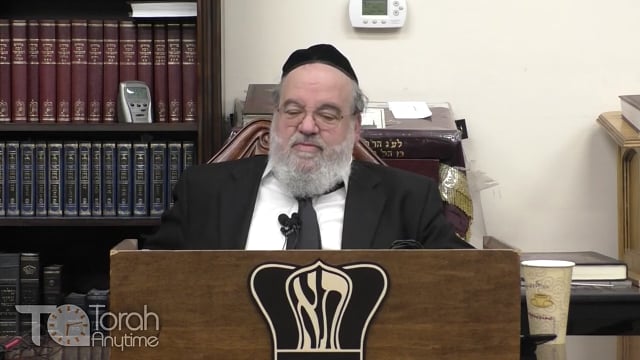 Parshat Va'eira - The secret behind the Makkos