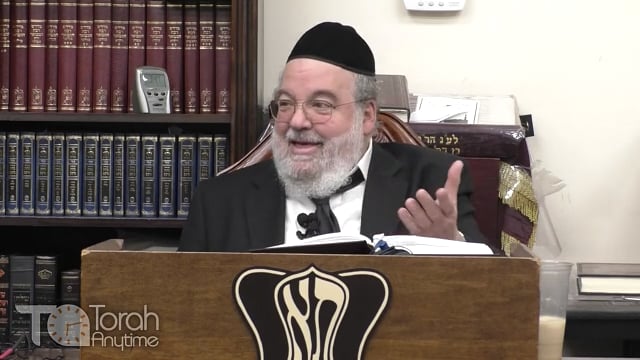 Parshat Va'eira - Don't throw the Torah on the Ocean