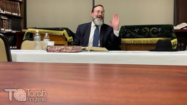 The Gra, Mozart, & Some Great Musings on Music & Shi'ras HaYam