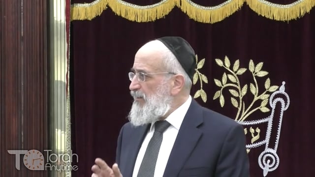 Late Night Mishmar With Rabbi Reisman: Is the Mitzva To Drink On Purim The Act Of Drinking Or The Result?