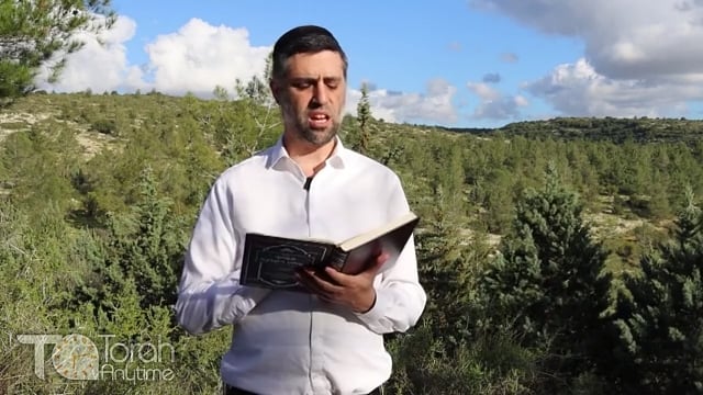 Bitachon 101: Ask For Torah Success