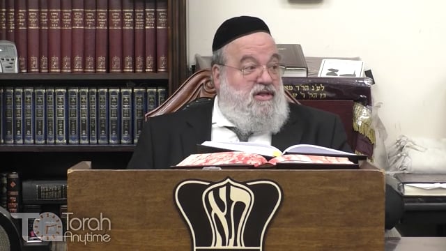 Parashat Emor - Showing your loyalty to Hashem
