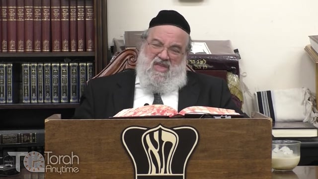 Parashat Emor - Out of This World experience