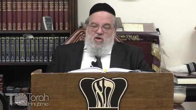 Parashat Behar-Behukotai - Giving up is the best way to succeed