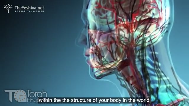 YY Moment Short Clip on Shavuos - Embrace Your Body